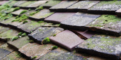 Bracknell roof repair costs